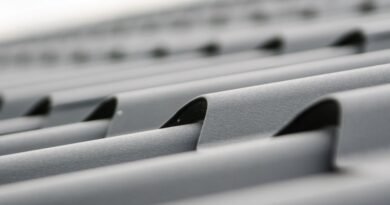 Pigiausių stogo dangų gidas 2026 m.